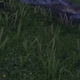 Illustration for article titled 10 Clumps Of Grass In Video Games